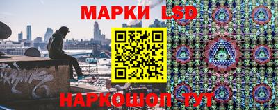 ECSTASY Кингисепп