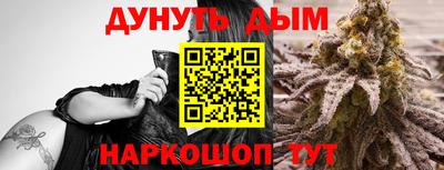 jwh Кинель