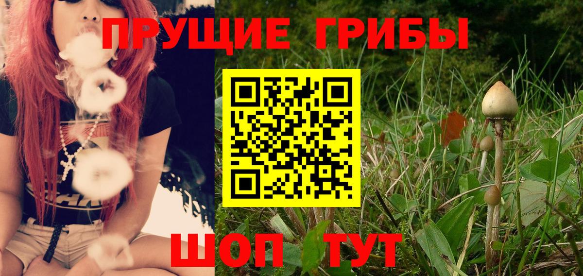 Псилоцибиновые грибы Psilocybe  Вход с VPN  закладки  Барабинск 