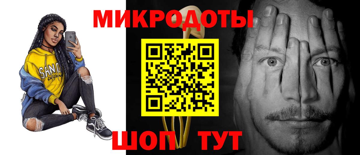 Псилоцибиновые грибы Psilocybe Барабинск